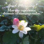 Good Morning Blessings