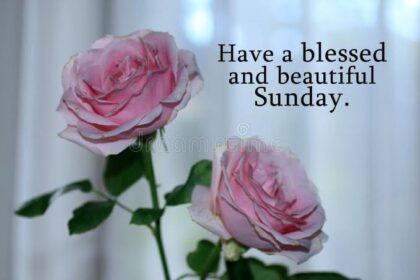 Sunday Blessings