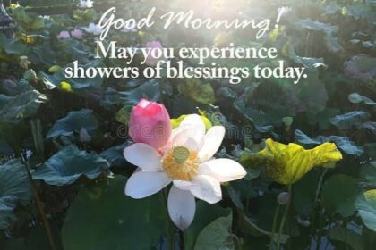 Good Morning Blessings