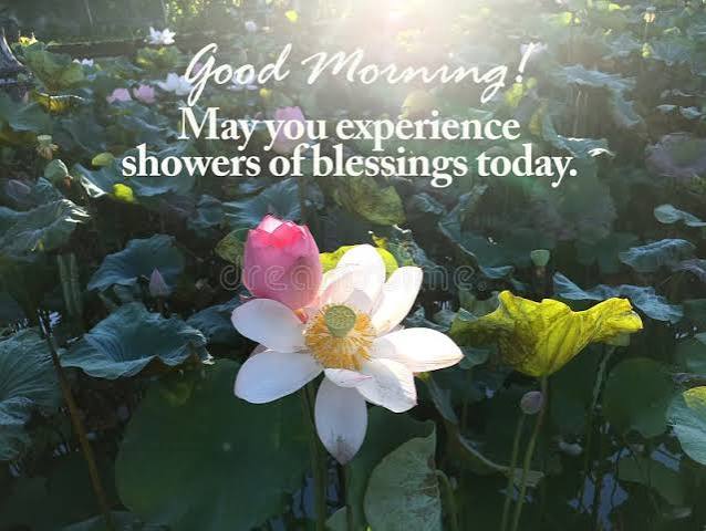 Good Morning Blessings